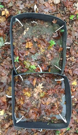 Measuring decomposition with leaf litter boxes